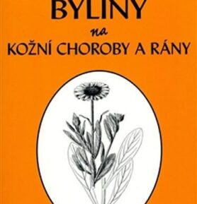Byliny na kožní choroby a rány - Ida Rystová