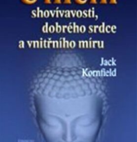 Umění shovívavosti, dobrého srdce a vnitřního míru - Jack Kornfield