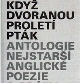 Jako když dvoranou proletí pták - kolektiv autorů