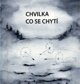 Chvilka co se chytí - Sylvie Krobová
