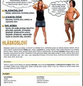 Hlásky, slovo, věta - Alois Bauer