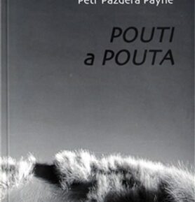 Pouti a pouta - Petr Pazdera Payne