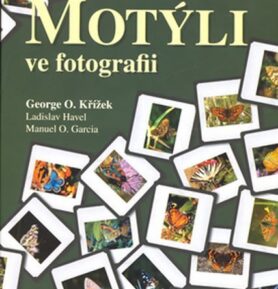 Motýli ve fotografii - Jiří Křížek