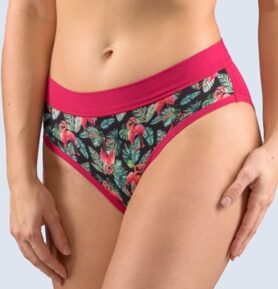 Dámské kalhotky klasické GINA 10268P bordo lahvová L/XL