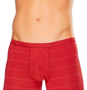 Pánské boxerky Body&Soul 10/1-13/74 FABIO vínová světlá 2XL