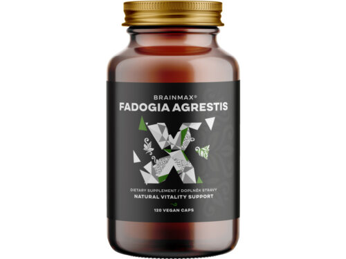 BrainMax Fadogia Agrestis 10:1