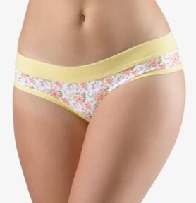 Dámské francouzské kalhotky GINA 14160P šampaň maracuja M/L
