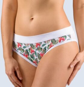 Dámské bokové kalhotky GINA 16168P bílá lahvová XS/S