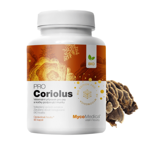 MycoMedica Coriolus PRO 90 kapslí