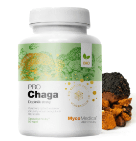 MycoMedica Chaga PRO 90 kapslí