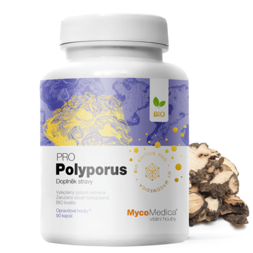 MycoMedica Polyporus PRO 90 kapslí
