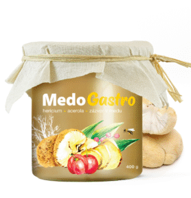 MycoMedica MedoGastro 400g