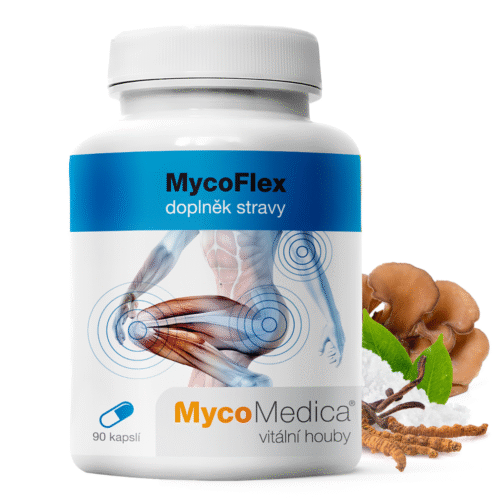 MycoMedica MycoFlex 90 kapslí