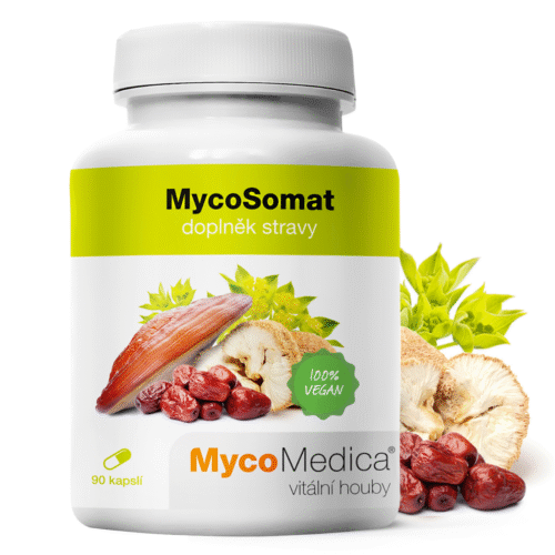 MycoMedica MycoSomat 90 kapslí