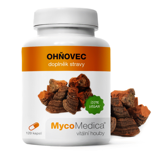 MycoMedica  Ohňovec - Ohňovec brázditý 120 kapslí