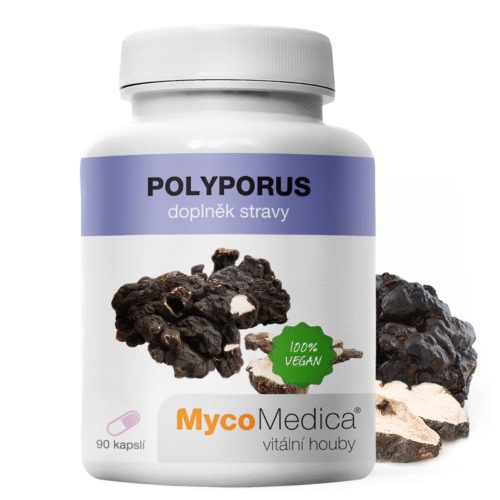 MycoMedica Polyporus - Choroš oříž 90 kapslí
