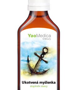 YaoMedica 042 - Ukotvená myšlenka, bylinná tinktura 50ml