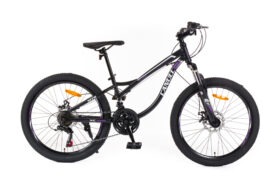 Canull XC 240 2024