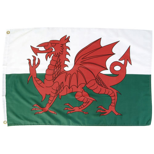 Vlajka WELSH DRAGON 150x90 cm
