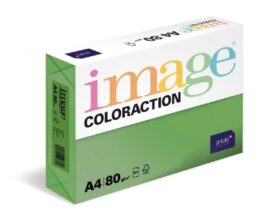 Antalis Barevný papír Dublin / tmavě zelený A4 / 80 g / 500 ks