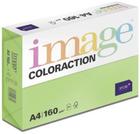 Antalis Barevný papír Java / středně zelený A4 / 160 g / 250 ks