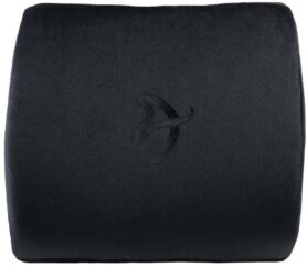AROZZI Lumbar Support Pillow
