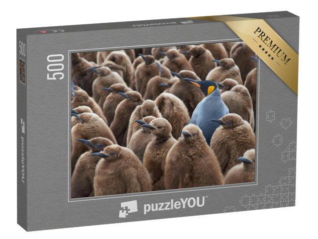 puzzle 500 dílků „Dospělý tučňák královský ve skupině mláďat“