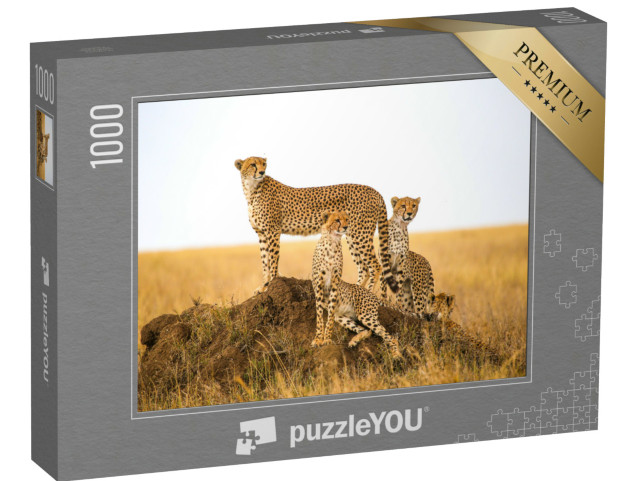 puzzle 1000 dílků „Gepardi v národním parku Serengeti, Tanzanie“