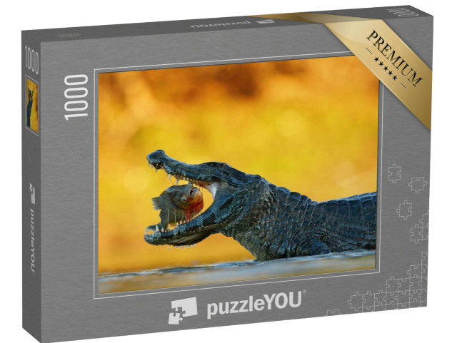 puzzle 1000 dílků „Kajman na lovu“
