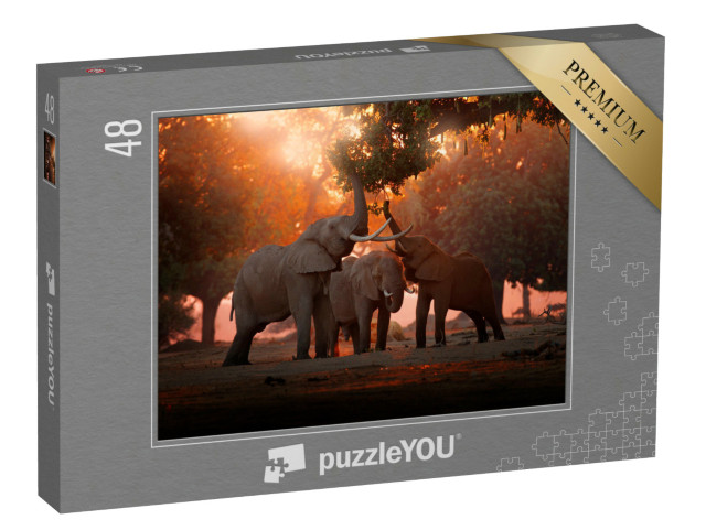 puzzle 48 dílků „Krmení slonů v národním parku Mana Pools, Zimbabwe“