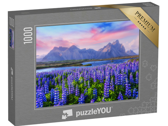 puzzle 1000 dílků „Lupinové louky u pohoří Stokksnes, Island“
