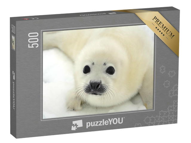 puzzle 500 dílků „Mládě tuleně harfového na ledové kře“