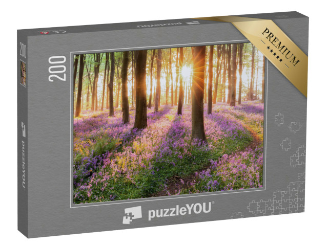 puzzle 200 dílků „Moře modrých zvonků po ránu v lese“