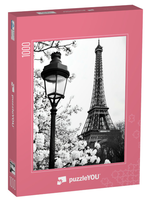 puzzle „Paříž: město lásky, Francie“