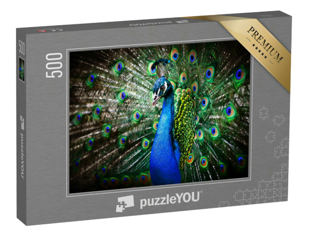 puzzle 500 dílků „Portrét krásného páva s otevřeným kolem“