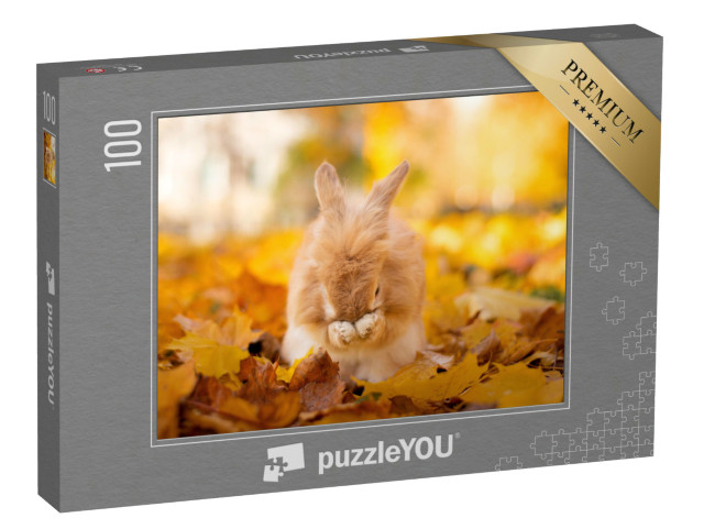 puzzle 100 dílků „Roztomilý králík ve zlatém podzimním listí“