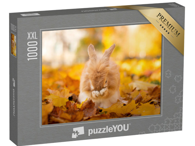 puzzle 1000 dílků XXL „Roztomilý králík ve zlatém podzimním listí“