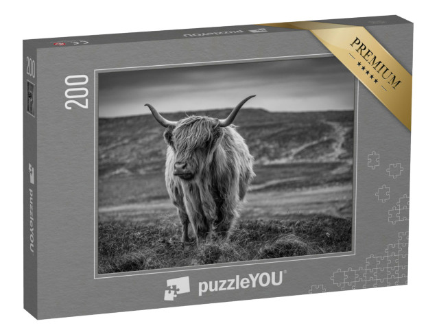 puzzle 200 dílků „Skotský náhorní skot, černobílý“