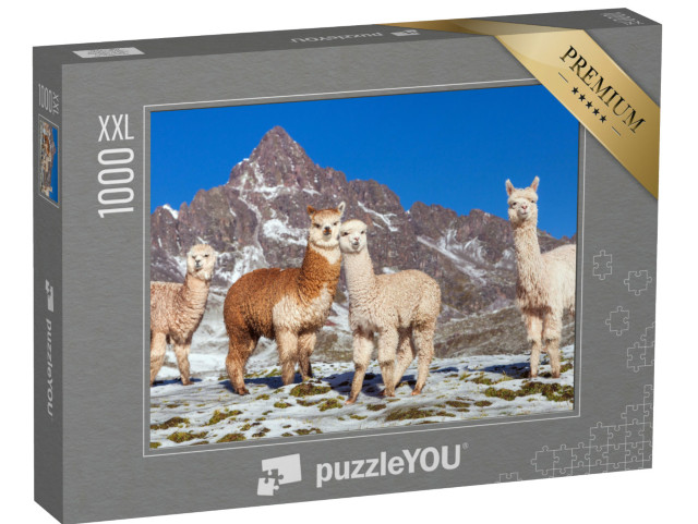 puzzle 1000 dílků XXL „Skupina lam na zasněžené pastvině, Andy, Peru“