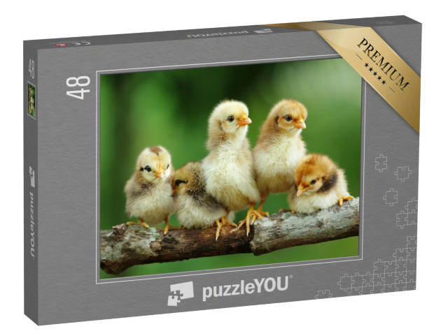puzzle 48 dílků „Skupina malých mláďat na větvi“