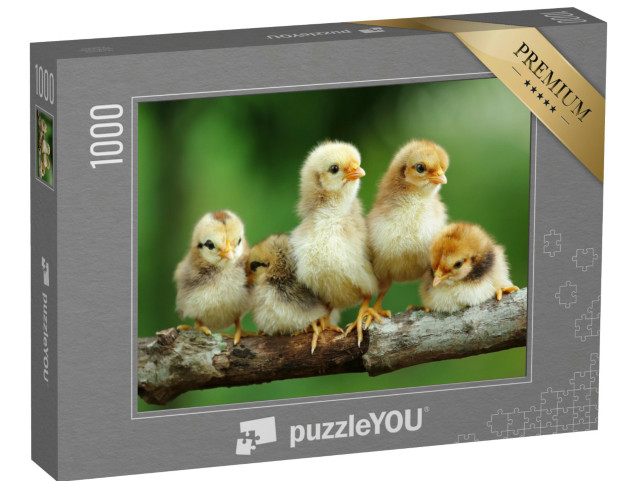 puzzle „Skupina malých mláďat na větvi“