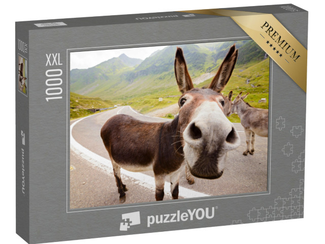 puzzle 1000 dílků XXL „Vtipný osel v rumunských horách“