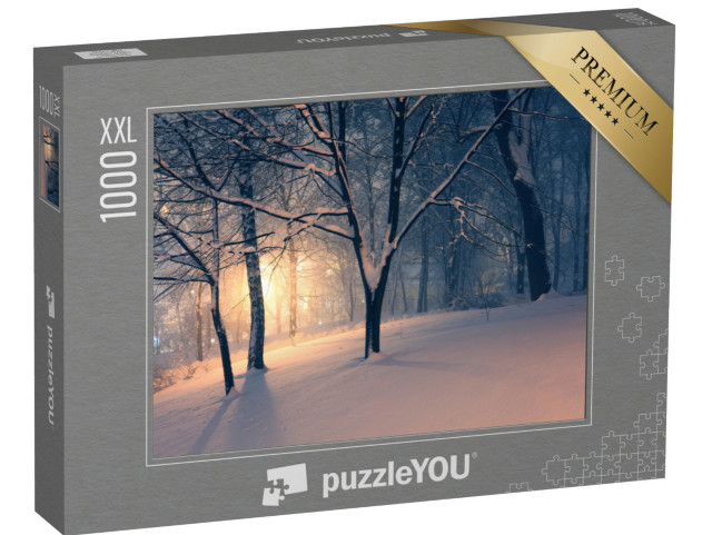 puzzle 1000 dílků XXL „Zimní večer v parku“