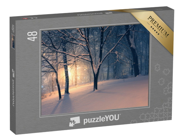 puzzle 48 dílků „Zimní večer v parku“