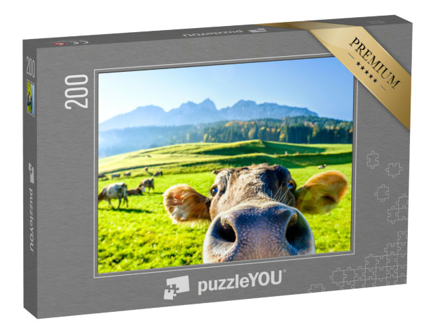 puzzle 200 dílků „Zvědavá kráva“