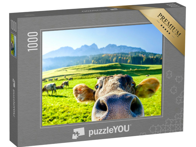 puzzle 1000 dílků „Zvědavá kráva“