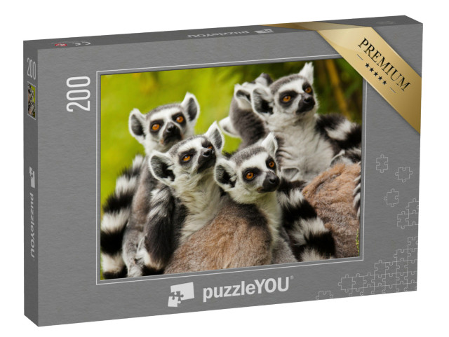 puzzle 200 dílků „Zvědaví lemuři kroužkovaní“