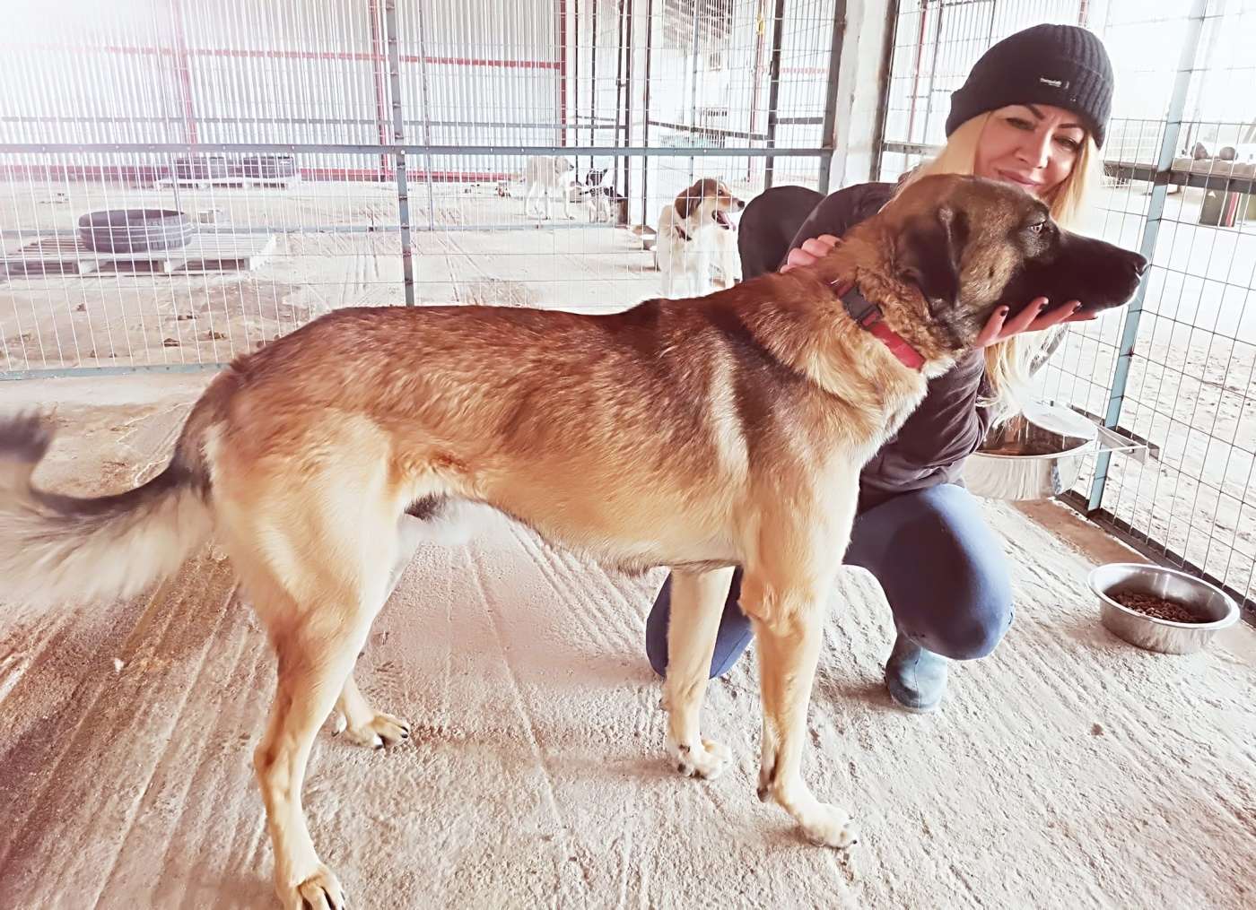 Pomoc Řecku ARIEL záchranná stanice Delta Kalochori - Thessaloniki Daruji: 50Kč