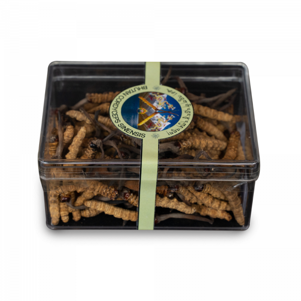 Bhutan/Special Divoký Cordyceps (Pravý - Sinensis) -5g (Bhután) CORDYCEPS: Jakost C