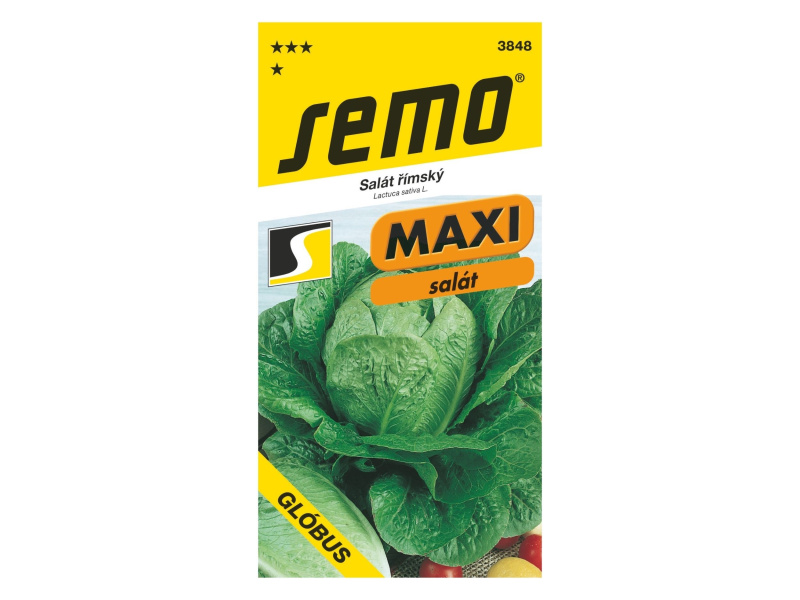 AgroBio Salát římský Glóbus 0,7 g